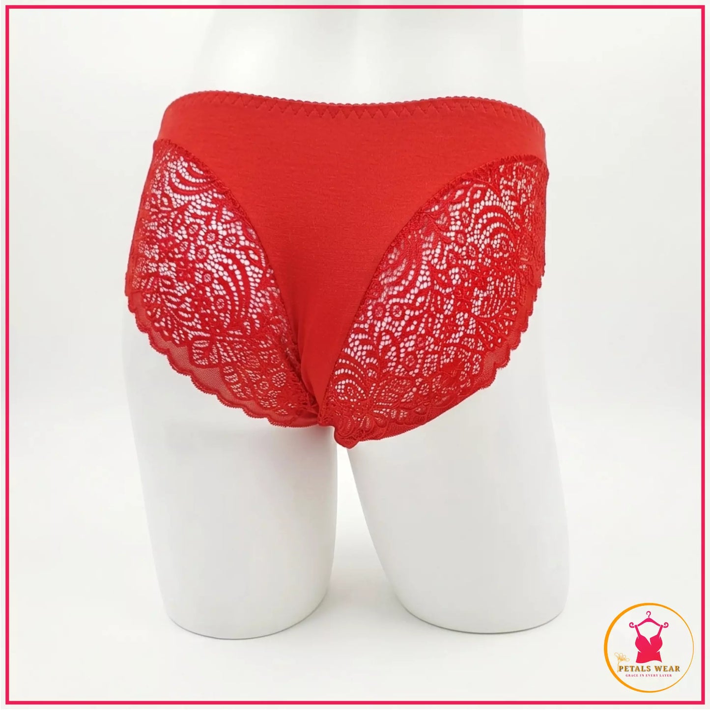 Premium lace embroidered comfort panty
