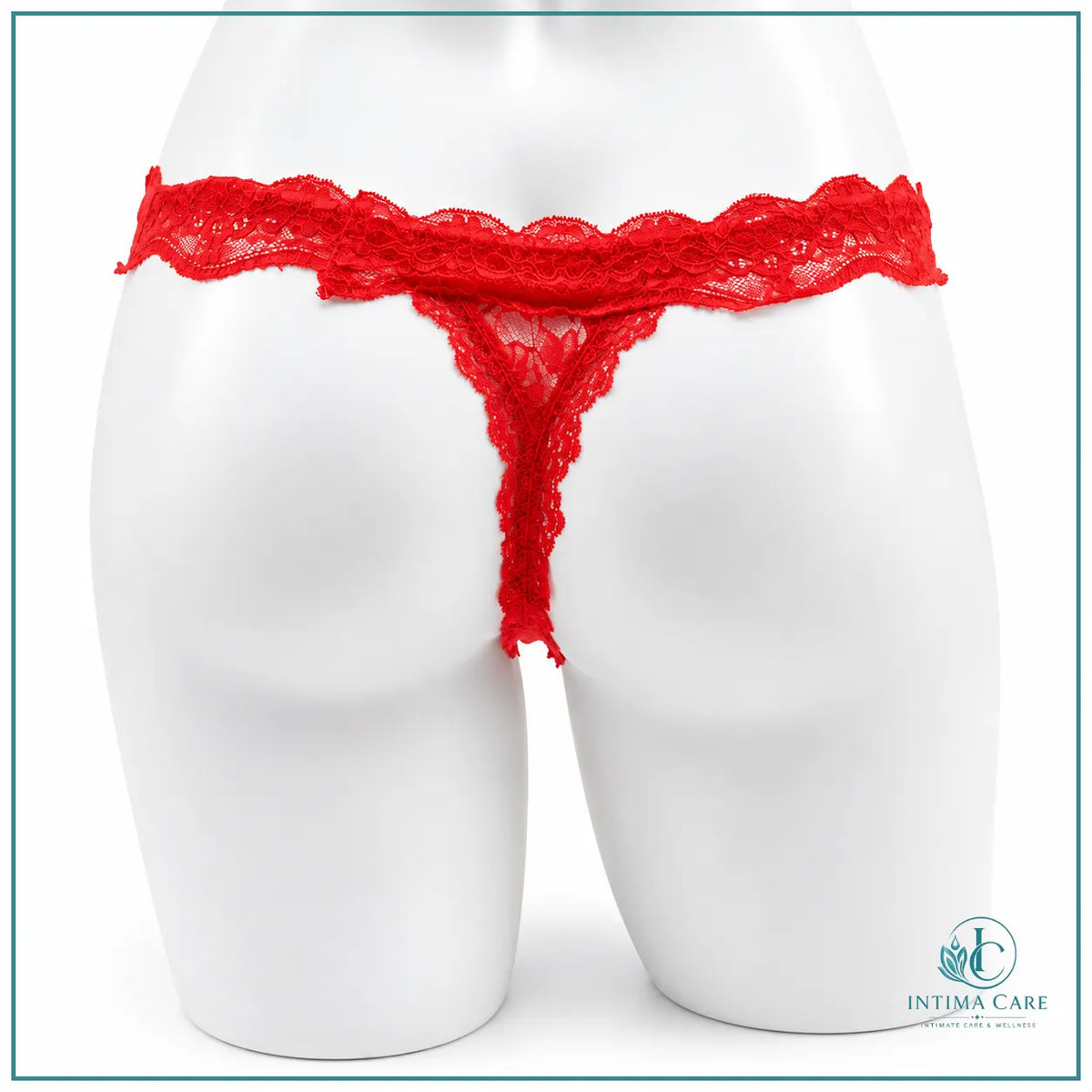 Women's lace embroidered panty for romantic lingerie collections