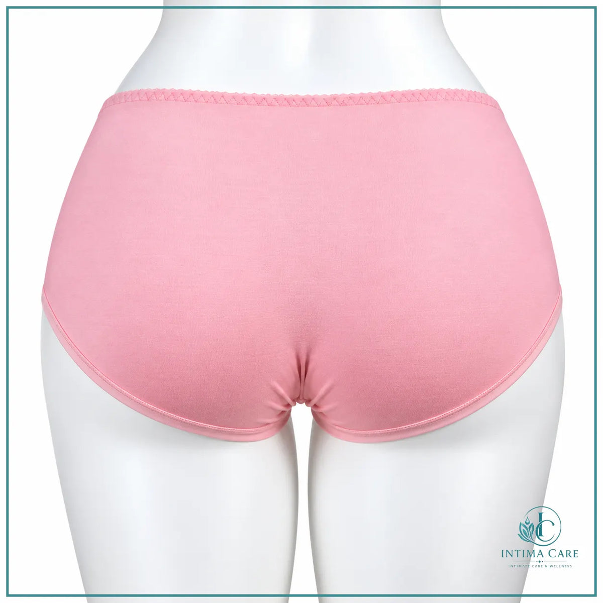 Women's cotton panty featuring elegant lace embroidery
