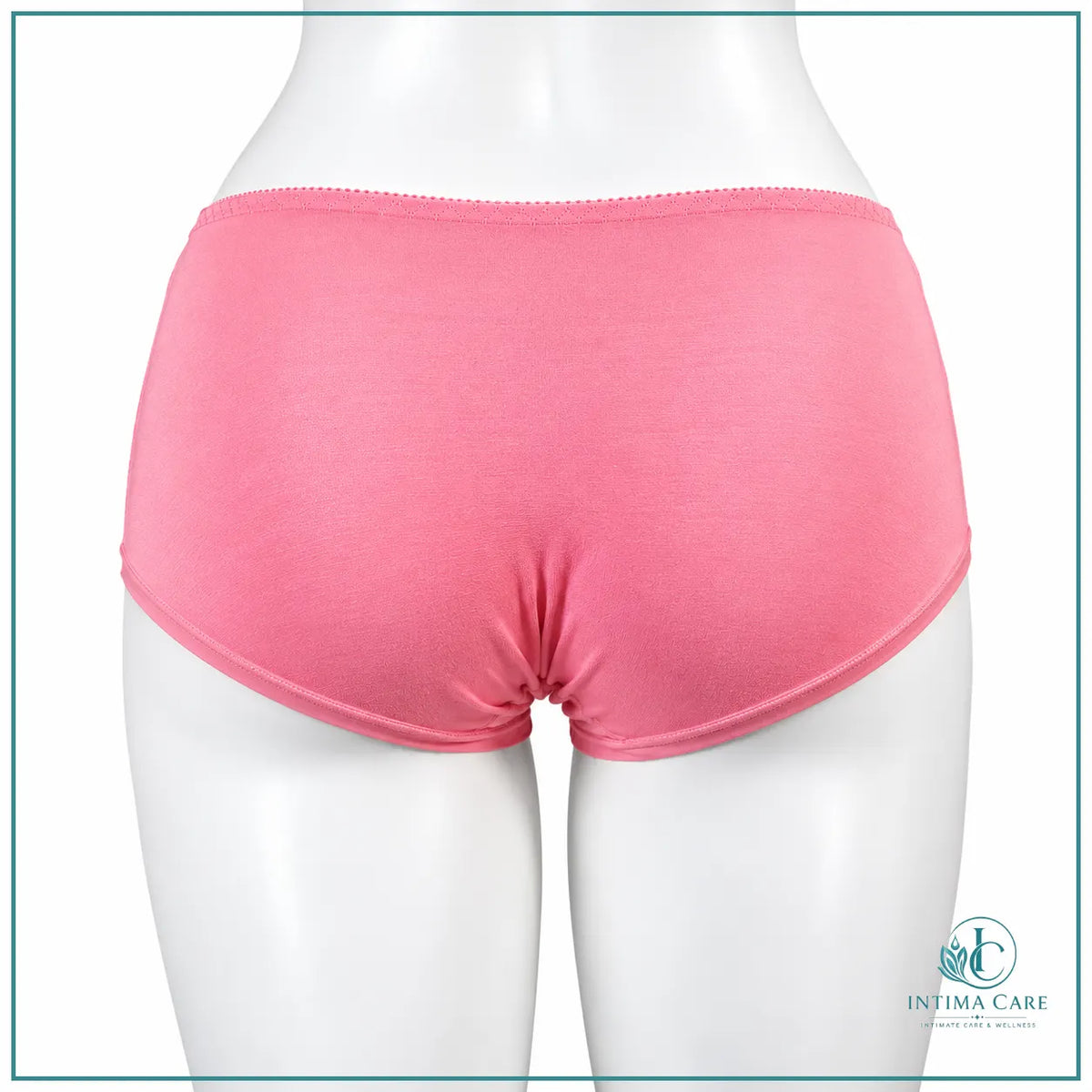 Cotton comfort panty with feminine embroidered lace detailing