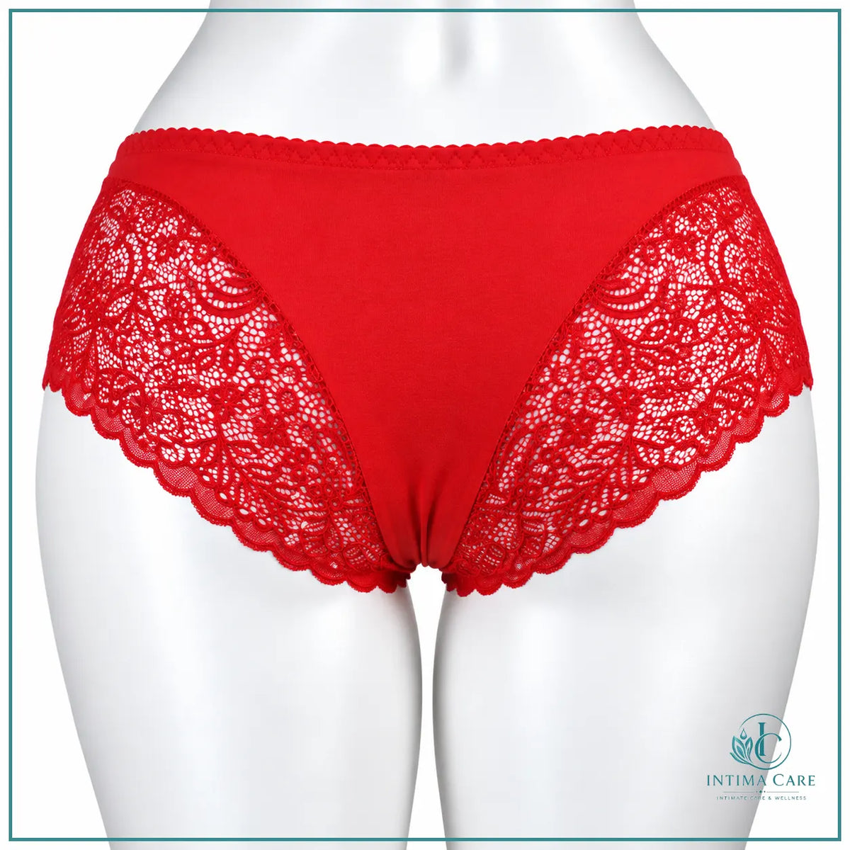 Women's embroidered lace underwear available in Large size